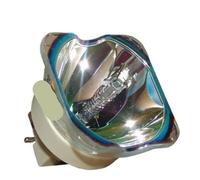 WANGYIWH Projector lamp LMP-H330 Suitable for VW1000ES VW1100 GT100(CB)