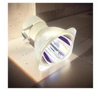 WANGYIWH Replacement NP30LP Projection Bulb for N-E-C CR5300H/NP-M322H+/M323H+/M332XS+/M333XS+/M352WS