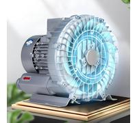 WANGYYDS 42-420CFM Regenerative Blower Three Phase, 380V Vortex Blower, High-Pressure Vortex Ring Blower, High-Pressure Vortex Ring Blower, for Sewage Aeration, Silver 4000W/42Kpa/420CFM