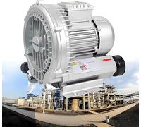 WANGYYDS High-Pressure Regenerative Blower 380V Vortex Ring Blower Three Phase 0.35 H P - 5.36 H P 42-420 CFM Sewage Aeration Vortex Blower, Industrial Vacuum Pump for Air Blowing 370W/12KPa/80CFM