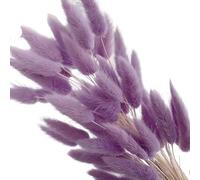 WANGZEYU Pampas Grass Large Nature Bunny Rabbit Tail Grass Dried Flower Wedding Bouquet For Christmas Photo Props Decoration Pampas Grass Vase(Light Purple,120pcs)
