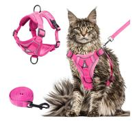 Wanheart Summer Cat Chest Harness and Leash, Anti-Escape Adjustable Soft Mesh Cat Leash and Chest Harness Set for All Types of Cats (Rose Red, XL)