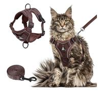 Wanheart Summer cat Chest Harness and Leash, Anti-Escape Adjustable Soft mesh cat Leash and Chest Harness Set for All Types of Cats cat Vests (Brown, XL:16.5-22.04lb)