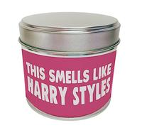 Wanky Candle - Smells Like Harry Styles Celebrity Inspired Scented Tin Candle Funny Soy Wax Home Decor