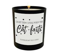 Wanky Candles Vanilla Black Jar - Light This When The Cat Farts WCBJ159 | Funny Cat Owner Candle, Handmade, Soy Wax, Black Jar, Pet Humour