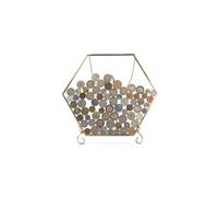 Wanlian Gold Frame Coin Display Stand Coin Display Rack Wall-Mounted Iron Coin Rack Collection Coin Silver Dollar Coin Rack Glass Piggy Bank (Hexagonal)