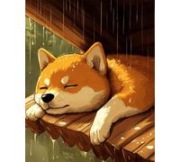 WANMIU DIY Paint by Numbers Flame Sleeping Shiba Inu with Paint Brushes and Acrylic Painting Kit 16x20 Inch for Kids and Adults Beginner Gifts