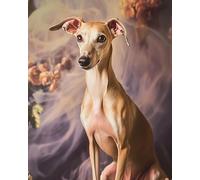 WANMIU Paint by Numbers Greyhound for Adults and Kids DIY Oil Painting Gift Kits Pre-Printed Canvas Art Home Decoration 16x20 inch Frameless