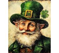WANMIU Paint by Numbers Irish Elf Smile Kits for Beginners Adults DIY Art Decor Hand Painted Painting by Numbers Creative Gift Home Decoration 16x20 inch Frameless