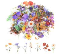 Wanmu Transparent Flower Stickers for Scrapbooking, 120 Pcs Colorful Small Pressed Flower Stickers, Vintage Sticker, Nature Plant Sticker for Journaling, Scrapbooking, Planner Laptops