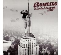 Wanted Dead Or Alive by David Bromberg