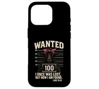 Wanted Lost Sheep Found Luke 15:10 Christian Case for iPhone 16 Pro