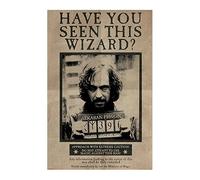 Harry Potter - Wanted Sirius Black Maxi - Poster Onesize