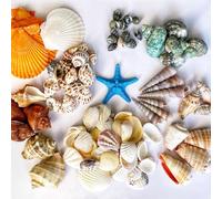 Wanwanzi 100+PCS Mixed Sea Shells with Resin Starfish | 500g Bucket Package | Ocean Beach Natural Seashell | Assorted Sizes for Fish Tank Vase Fillers, Kids DIY Crafts&Home Decor