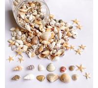 Wanwanzi 1200 PCS Tiny Sea Shells &10 Small Starfish - Mixed Ocean Beach Spiral Seashells for Fish Tank and Vase Filler, Beach Theme Party, Wedding Decor - DIY Craft Supplies