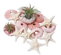Wanwanzi 12pcs Starfish and Sea Urchin Shell Set, 1.3-1.9 Inch Natural Seashells Decor for Air Plants, Beach Wedding, Coastal Home Decorations, Nautical Themed Projects