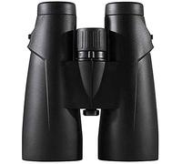 WANWEN 10X56 Roof Prism Binoculars For Adults, Portable And Waterproof Compact Binoculars,Bak4 Prism Fmc Lens Hd Clear View For Bird Watching, Travel, Black little surprise