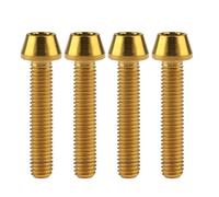 Wanyifa Titanium Ti Bolt M5x9 16 18 20 25 30 35 40 45 50 55 60mm Tapered Head Screws pack of 4 (M5x25mm, Gold)