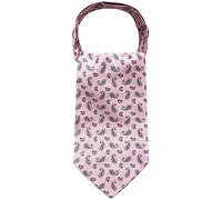 WANYING Men's Ascot Tie Cravat Ties Neckerchief Tie Scarf Classic Retro Chic for Gentleman - Paisley Pink