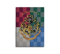 WAR Harry Potter Hogwarts polar blanket