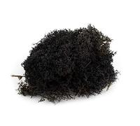 War World Scenics Lichen Black Moss Model Foliage 100g - Model Railway Wargame Scenery Landscape Modelling Trees Bushes Hedges Diorama Basing Material
