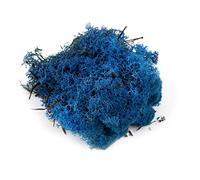 War World Scenics Lichen Blue Moss Model Foliage 100g - Model Railway Wargame Scenery Landscape Modelling Trees Bushes Hedges Diorama Basing Material