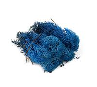 War World Scenics Lichen Blue Moss Model Foliage 60g - Model Railway Wargame Scenery Landscape Modelling Trees Bushes Hedges Diorama Basing Material