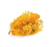 War World Scenics Lichen Orange Moss Model Foliage 60g - Model Railway Wargame Scenery Landscape Modelling Trees Bushes Hedges Diorama Basing Material