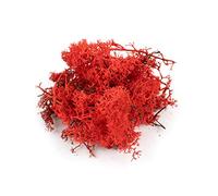 War World Scenics Lichen Red Moss Model Foliage 100g - Model Railway Wargame Scenery Landscape Modelling Trees Bushes Hedges Diorama Basing Material