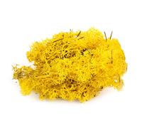 War World Scenics Lichen Yellow Moss Model Foliage 100g - Model Railway Wargame Scenery Landscape Modelling Trees Bushes Hedges Diorama Basing Material