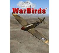 WarBirds - World War II Combat Aviation Steam Key GLOBAL