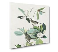 Warbling Flycatcher Birds by John James Audubon Canvas Print | Gallery Wrapped 30mm Frame Wall Art | 20x20 inches | Ready to Hang | Modern Bird Picture | Living Room Bedroom Lounge Office