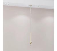 Wardrobe RailIndustrial Steel Pipe Clothes Rack - Height Adjustable Garment Rack for Retail Display/Closet Organization - Clothes Rail Ceiling Hanging, Multi-Purpose Hanger Rod (Golden/Silve