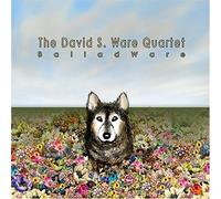 Ware, David S. - Balladware