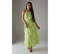Warehouse Petite 3D Embroidered Halter Open Back Midi Dress In Apple Green apple green 14