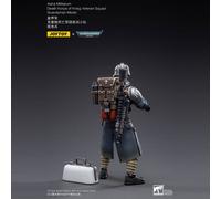 Warhammer 40k Action Figure 1/18 Death Korps of Krieg Veteran Squad Guardsman Medic 10 cm