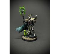Warhammer 40k Necrons Imotekh The Stormlord Pro Painted commission