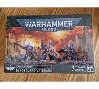 Warhammer 40k Space Marines - Bladeguard Veterans