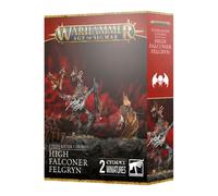 Warhammer: Age of Sigmar - Flesh-Eater Courts: High Falconer Felgryn