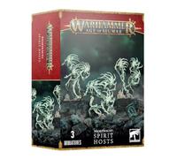 Warhammer Age of Sigmar: Nighthaunt: Spirit Hosts (93-08)