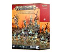 Warhammer Age of Sigmar Vanguard: Sylvaneth - Starter Army Box