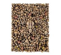 Citadel Skulls GAMES WORKSHOP 10% Off UK rrp