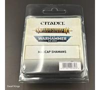 Warhammer Goblin Madcap Shamans Old World (Launch Edition, Metal, Sealed 2024)