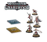 Warhammer Underworlds Gryselle's Arenai Age Of Sigmar Warband with Cards