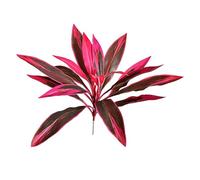warkul Large Artificial Plants Outdoor Fern Dragon's Blood Tree, UV Resistant Realistic Fake Ferns with Pink Purple Leaves for Outdoor Garden Yard Decor