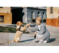 Warm and cozy scene-8000-Piece Adult Puzzle Challenging Home Wall Decoration 14 years+