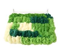 Warm Bird Perch, Hanging Flat Parrot Resting Perch with Hooks, 7.5 x 5.5 in Soft Coral Fleece Platform, Winter Bird Cage for Cockatiels and Lovebirds, Cozy Forest Green Hand Woven Bedding