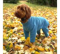 Warm Four-Legged Dog Fleece - Super Soft, Weather-Resistant, Available in a Range of Sizes and Colours (Teal, X-Large)