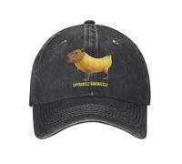 Warm hat Made of Pure Cotton,Italian Brainrot Capybarelli Bananalelli Baseball Cap Vintage Distressed Washed Headwear Men Outdoor Travel Adjustable Hats Cap Black