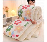 Warm Lamb Quilt Winter Blanket Heavy Warmth Luxury Duvet Double-Sided Velvet Quilt, Heavy Blankets For Winter Double Bed, Thicken Lamb Velvet Comforter C, 150x200cm/3kg